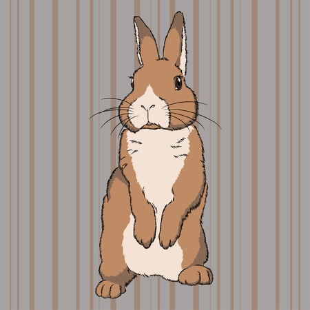 Vector illustration of fluffy brown beige standing rabbit on striped backgroundのイラスト素材
