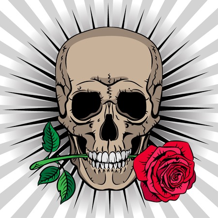 Skull holding a rose in his mouth on striped backgroundのイラスト素材