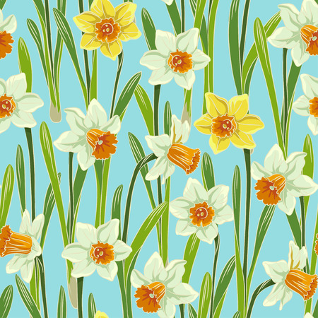Yellow white jonquil daffodil narcissus seamless pattern, blue backgroundのイラスト素材