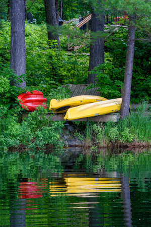 Yellow and red kayaks on the shore of a lake in the forestの写真素材