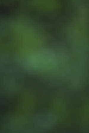 Green Old Masters Backgroundの写真素材