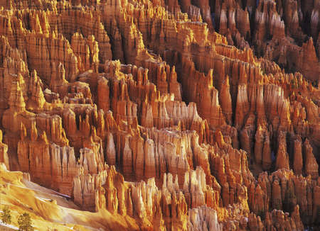 Hodoos in Bryce Canyon National Parkの写真素材