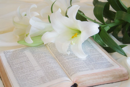 Easter Lily and Bibleの写真素材