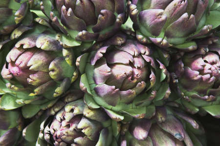 Artachokes for sale in a street market, Sao Paulo, Brazilの写真素材