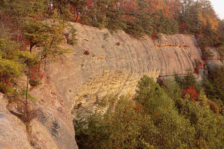Early morning light on Auvier Ridge in the Red River Gorge in the Danial Boone National Forest, Kentucky, United Statesの写真素材
