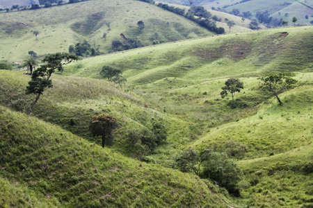Farm land the country side in the state of Minus in rural Brazilの写真素材
