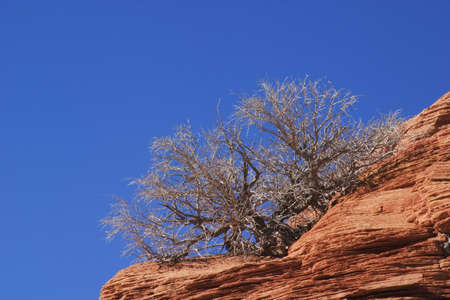 Slickrock formation, Coyote Buttes area of Paria Canyon, Vermilion Cliffs Wilderness, Arizona.の写真素材