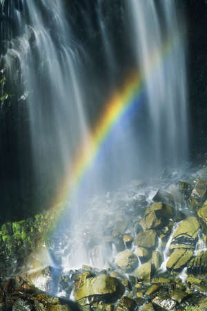 Rainbow formed from the spray of Narada Falls in Mt Rainier National Park, Washington State, United Statesの写真素材