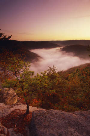 Sunrise from Auxier Ridge showing fog laden valley and Autumn colors.  Red River Gorge area of the Daniel Boone National Forest in Kentucky, United Statesの写真素材