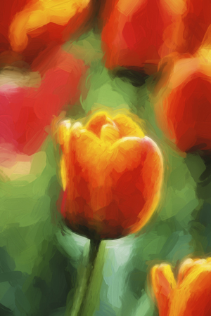 Beautiful Impressionist painting of tulips in the springtimeの写真素材