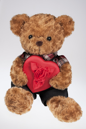 A cute teddy bear holding a Red Heart shaped box isolated on a white backgroundの写真素材