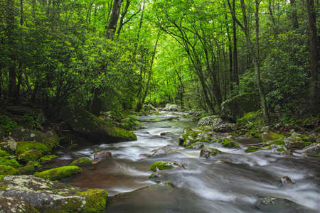 Relaxing Roaring Fork Creek along the Roaring Fork Motor Tour in the Great Smoky Mountains National Park Tennessee USAの写真素材