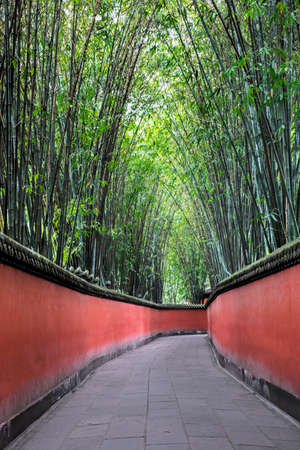 Peaceful bamboo covered walkway through the Wuhou Shrine in Chengdu, Sichuan province, Chinaの写真素材