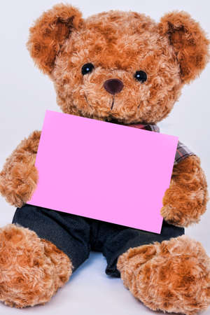 Cute teddy bear holding a blank pink sign isolated on a white backgroundの写真素材