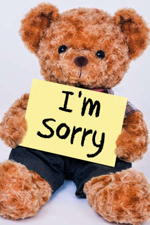 Cute teddy bear holding a yellow sign that reads I"m Sorry isolated on a white backgroundの写真素材