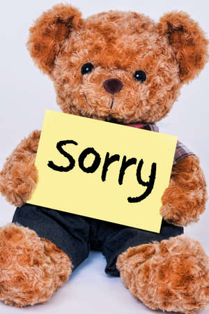 Cute teddy bear holding a yellow sign that reads Sorry isolated on a white background