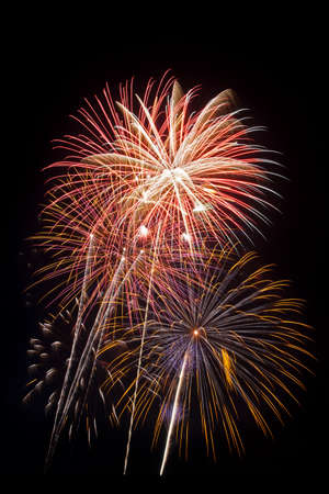 Beautiful fireworks display fills the night time sky
