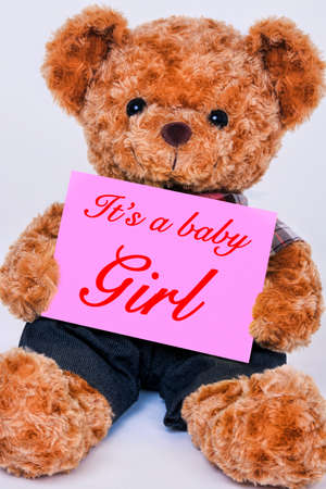 Cute teddy bear holding a pink sign that reads It's a baby Girl isolated on a white background