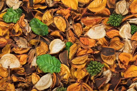 Beautiful and colorful background of Citrus Scent potpourriの写真素材