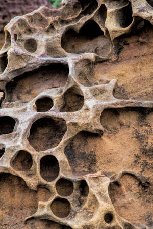 Honeycomb weathering patterns in the limestone within the Yehliu Geological Park known to geologists as the Yehliu Promontory, forms part of the Daliao Miocene Formation. New Taipei, Taiwan, Chinaの写真素材