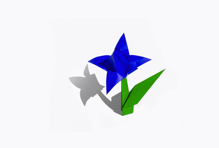 Origami tulip flower.
The tulip is isolated on white background and casts shadow on the surface. It has closed or open petals and a green stalk.の写真素材