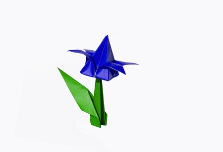 Origami tulip flower.
The tulip is isolated on white background and casts shadow on the surface. It has closed or open petals and a green stalk.の写真素材