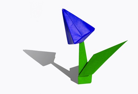 Origami tulip flower.
The tulip is isolated on white background and casts shadow on the surface. It has closed or open petals and a green stalk.の写真素材