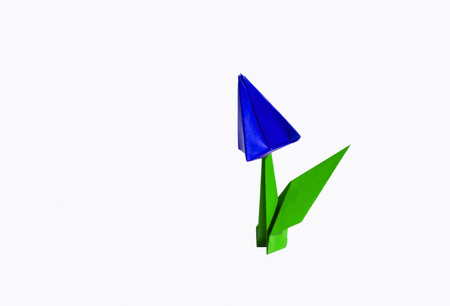 Origami tulip flower.
The tulip is isolated on white background and casts shadow on the surface. It has closed or open petals and a green stalk.の写真素材