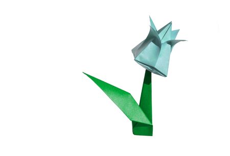 Origami tulip flower.
The tulip is isolated on white background and casts shadow on the surface. It has closed or open petals and a green stalk.の写真素材