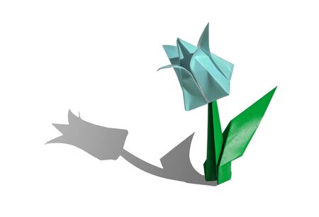 Origami tulip flower.
The tulip is isolated on white background and casts shadow on the surface. It has closed or open petals and a green stalk.の写真素材