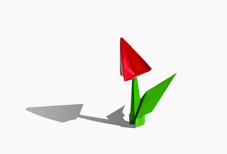 Origami tulip flower.
The tulip is isolated on white background and casts shadow on the surface. It has closed or open petals and a green stalk.の写真素材