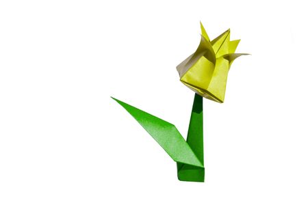 Origami tulip flower.
The tulip is isolated on white background and casts shadow on the surface. It has closed or open petals and a green stalk.の写真素材