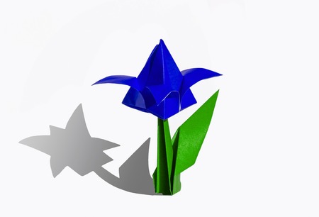 Origami tulip flower.
The tulip is isolated on white background and casts shadow on the surface. It has closed or open petals and a green stalk.の写真素材