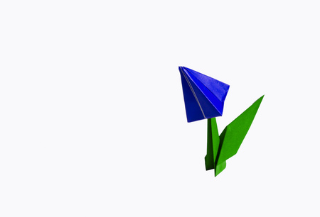 Origami tulip flower.
The tulip is isolated on white background and casts shadow on the surface. It has closed or open petals and a green stalk.の写真素材
