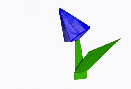 Origami tulip flower.
The tulip is isolated on white background and casts shadow on the surface. It has closed or open petals and a green stalk.の写真素材