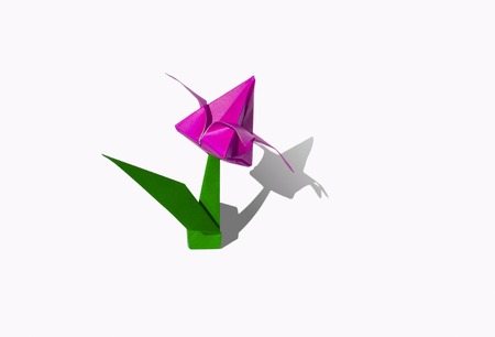 Origami tulip flower.
The tulip is isolated on white background and casts shadow on the surface. It has closed or open petals and a green stalk.の写真素材