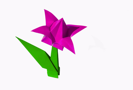Origami tulip flower.
The tulip is isolated on white background and casts shadow on the surface. It has closed or open petals and a green stalk.の写真素材