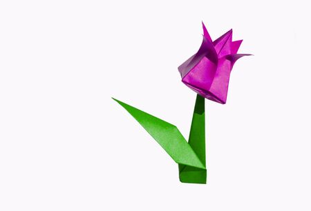 Origami tulip flower.
The tulip is isolated on white background and casts shadow on the surface. It has closed or open petals and a green stalk.の写真素材