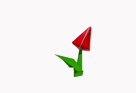 Origami tulip flower.
The tulip is isolated on white background and casts shadow on the surface. It has closed or open petals and a green stalk.の写真素材