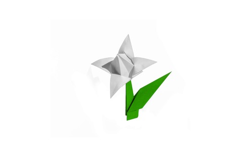 Origami tulip flower.
The tulip is isolated on white background and casts shadow on the surface. It has closed or open petals and a green stalk.の写真素材
