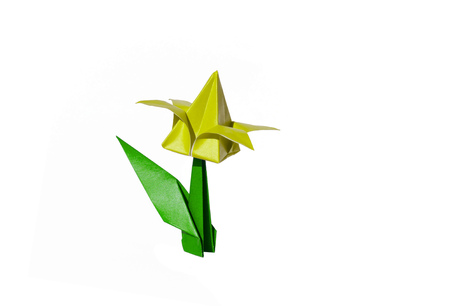 Origami tulip flower.
The tulip is isolated on white background and casts shadow on the surface. It has closed or open petals and a green stalk.の写真素材