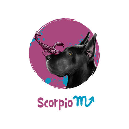 Digital art illustration of astrological sign Scorpio. 2018 year of dog. Eighth of twelve zodiac signs. Horoscope water element. Logo sign with scorpion. Web, print graphic design clip art. Add textの写真素材