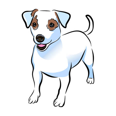 A Vector closeup portrait of cute Jack russel terrier breed puppy isolated on white background. Short Hair small-sized little terrier dog. Hand drawn sweet home pet. Greeting card design. Clip artのイラスト素材
