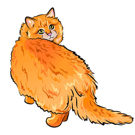 close up digital portrait of cute red longhair cat isolated on white background. Hand drawn sweet home pet. Greeting birthday card design. Clip art illustration, editable and resizeable graphicsのイラスト素材