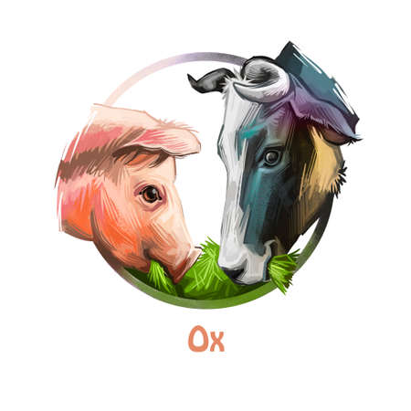 Ox Chinese zodiac system and isolated icons digital art. Poster with text and animals eating greenery and green leaves foliage. Food for piglet swine, astrological Asian oriental sign with creaturesの写真素材