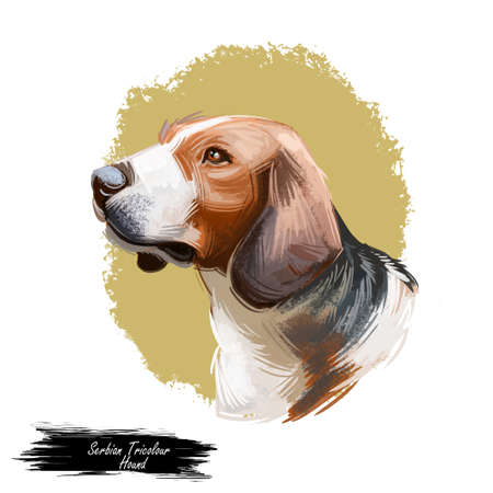 Siberian Tricolor Hound from Siberia dog breed digital art. Purebred domestic animal watercolor portrait close upの写真素材