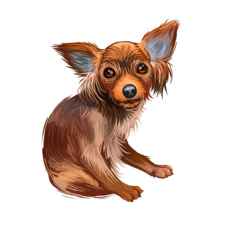 Russian Toy dog portrait isolated on white. Digital art illustration of hand drawn dog for web, t-shirt print and puppy food cover design. Russkiy Toy Terrier, Moscow or Moscovian Miniature Terrieの写真素材