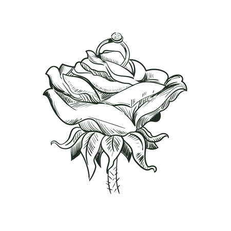Rose with wedding ring isolated sketch. St. Valentines day holiday greeting card with flower and engagement ring with diamond. Vector illustration on February 14, gift or present on romantic partyのイラスト素材
