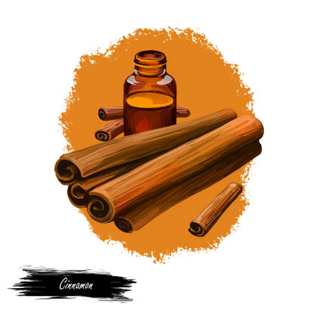 Cinnamon dry sticks and bottle with remedy isolated digital art illustration. Dried bark strips, bark powder in glass bottle, Cinnamomum verum. Spicy food condiment, herb with adverse effect.の写真素材