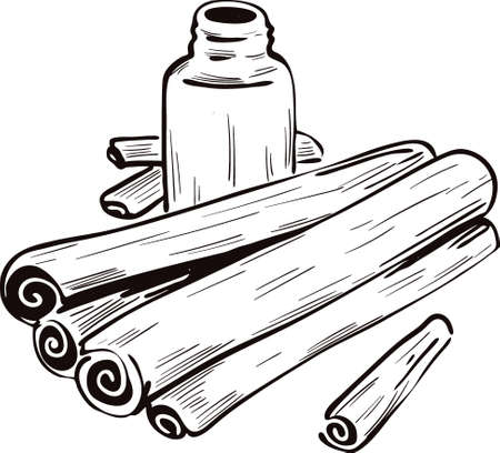 Cinnamon dry sticks and bottle with remedy isolated vector illustration. Dried bark strips, bark powder in glass bottle, Cinnamomum verum. Spicy food condiment, herb with adverse effectのイラスト素材